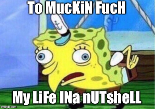 Mocking Spongebob Meme | To MucKiN FucH; My LiFe INa nUTsheLL | image tagged in memes,mocking spongebob | made w/ Imgflip meme maker