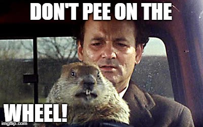 Bill Murray day groundhogies | DON'T PEE ON THE; WHEEL! | image tagged in bill murray day groundhogies | made w/ Imgflip meme maker
