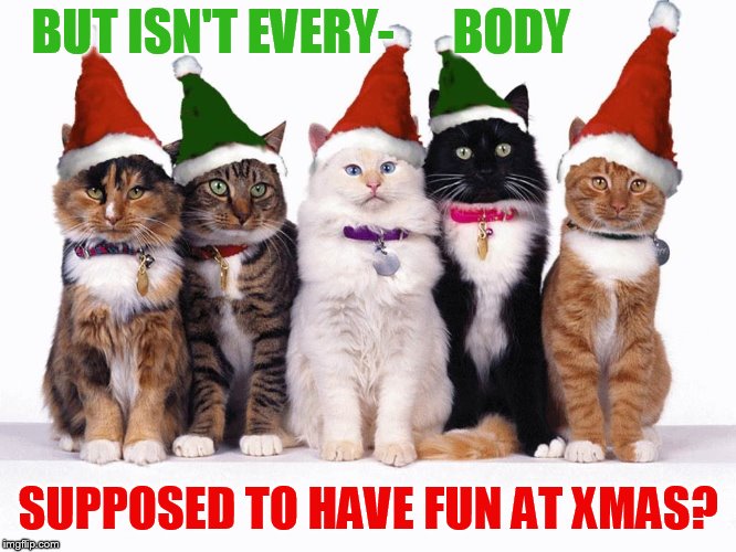 BUT ISN'T EVERY-      BODY SUPPOSED TO HAVE FUN AT XMAS? | made w/ Imgflip meme maker