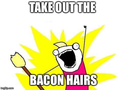 X All The Y Meme | TAKE OUT THE; BACON HAIRS | image tagged in memes,x all the y | made w/ Imgflip meme maker