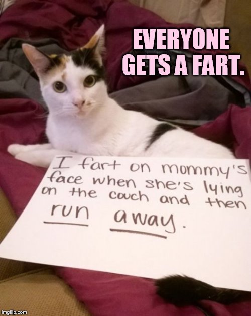 EVERYONE GETS A FART. | made w/ Imgflip meme maker