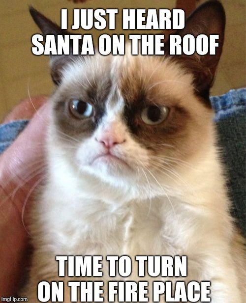 Grumpy cat doesn't like Christmas | I JUST HEARD SANTA ON THE ROOF; TIME TO TURN ON THE FIRE PLACE | image tagged in memes,grumpy cat,funny,santa | made w/ Imgflip meme maker