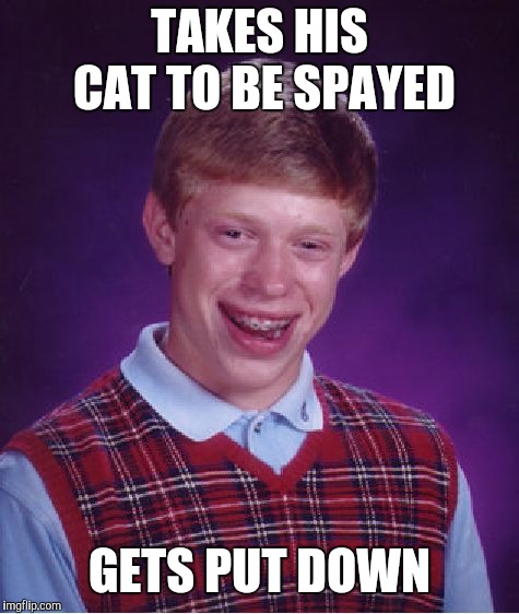 Bad Luck Brian | TAKES HIS CAT TO BE SPAYED; GETS PUT DOWN | image tagged in memes,bad luck brian | made w/ Imgflip meme maker
