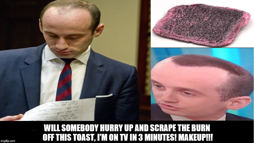 Slimeball Malignant Snake Type Creature stephen miller, finally finds the rest of his hair! | WILL SOMEBODY HURRY UP AND SCRAPE THE BURN OFF THIS TOAST, I'M ON TV IN 3 MINUTES! MAKEUP!!! | image tagged in stephen millers hair,stephen miller,cadet keratin,burnt toast,bad hair day,bald | made w/ Imgflip meme maker