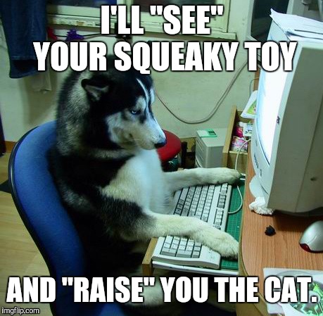 Dog playing internet poker | I'LL "SEE" YOUR SQUEAKY TOY; AND "RAISE" YOU THE CAT. | image tagged in memes,i have no idea what i am doing,cats,computers | made w/ Imgflip meme maker