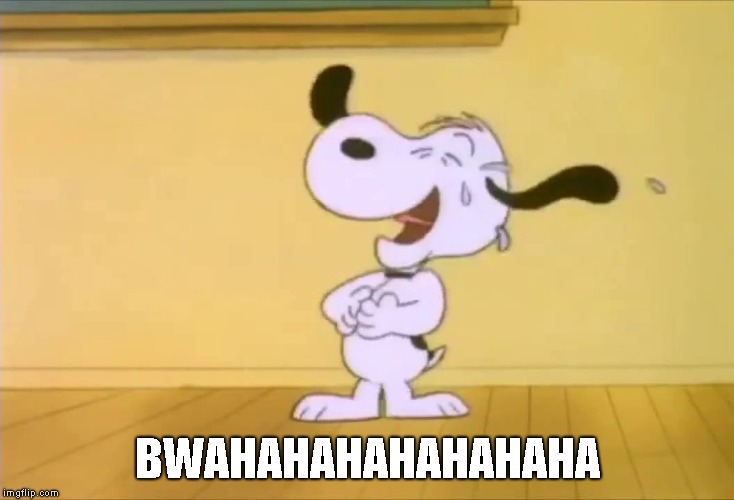 Laughing Snoopy | BWAHAHAHAHAHAHAHA | image tagged in laughing snoopy | made w/ Imgflip meme maker