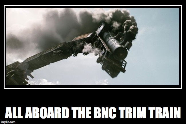 Trainwreck | ALL ABOARD THE BNC TRIM TRAIN | image tagged in trainwreck | made w/ Imgflip meme maker