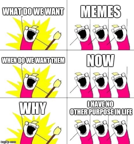 People who look at memes 24/7 | WHAT DO WE WANT; MEMES; WHEN DO WE WANT THEM; NOW; WHY; I HAVE NO OTHER PURPOSE IN LIFE | image tagged in memes,what do we want 3 | made w/ Imgflip meme maker