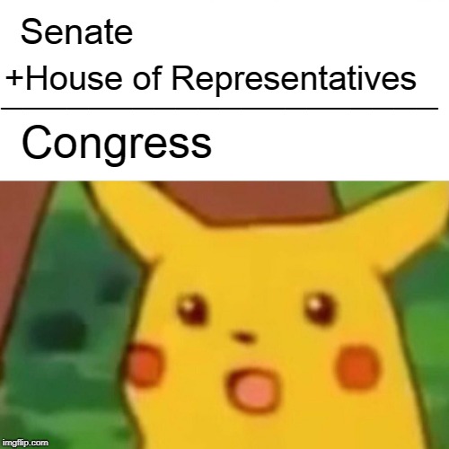 Surprised Pikachu Meme | Senate +House of Representatives Congress ____________________ | image tagged in memes,surprised pikachu | made w/ Imgflip meme maker