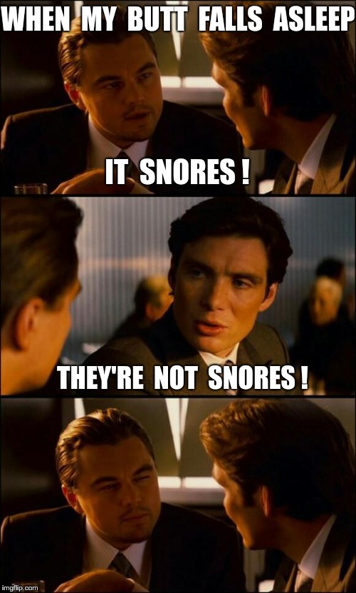 It Seems You Don't Quite Understand ... | WHEN  MY  BUTT  FALLS  ASLEEP; IT  SNORES ! THEY'RE  NOT  SNORES ! | image tagged in di caprio inception,funny memes,butt of jokes | made w/ Imgflip meme maker