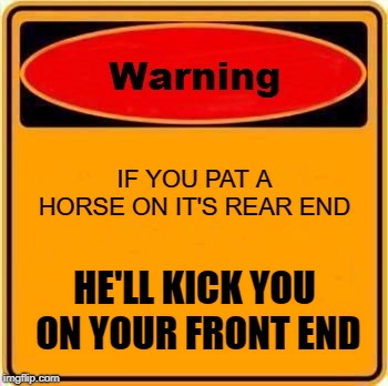 Warning Sign | IF YOU PAT A HORSE ON IT'S REAR END; HE'LL KICK YOU ON YOUR FRONT END | image tagged in memes,warning sign,horse | made w/ Imgflip meme maker