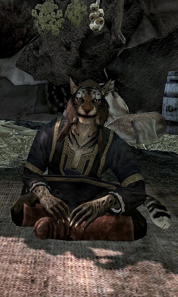 Khajiit Blank Meme Template