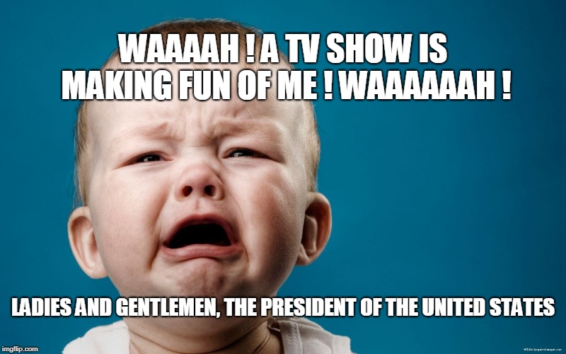 WAAAAH ! A TV SHOW IS MAKING FUN OF ME ! WAAAAAAH ! LADIES AND GENTLEMEN, THE PRESIDENT OF THE UNITED STATES | image tagged in trump | made w/ Imgflip meme maker