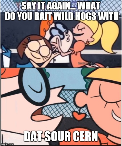 Dexters Lab | SAY IT AGAIN... WHAT DO YOU BAIT WILD HOGS WITH; DAT SOUR CERN | image tagged in dexters lab | made w/ Imgflip meme maker