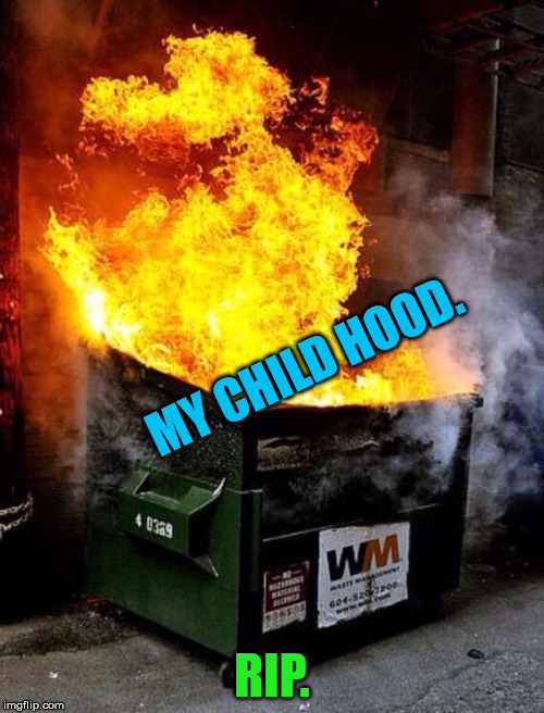 Dumpster Fire | MY CHILD HOOD. RIP. | image tagged in dumpster fire | made w/ Imgflip meme maker