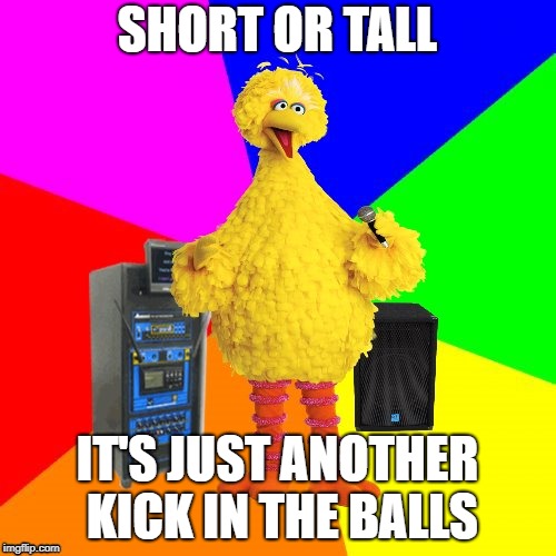 Wrong lyrics karaoke big bird | SHORT OR TALL IT'S JUST ANOTHER KICK IN THE BALLS | image tagged in wrong lyrics karaoke big bird | made w/ Imgflip meme maker