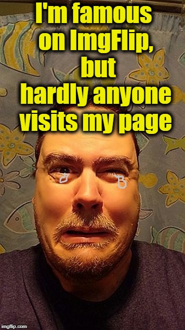 z1vljb | I'm famous on ImgFlip,  but hardly anyone visits my page | image tagged in z1vljb | made w/ Imgflip meme maker