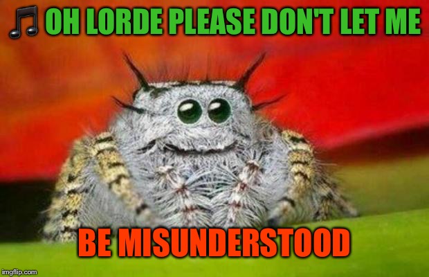misunderstood spider | image tagged in misunderstood spider | made w/ Imgflip meme maker