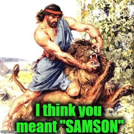 I think you meant "SAMSON" | made w/ Imgflip meme maker