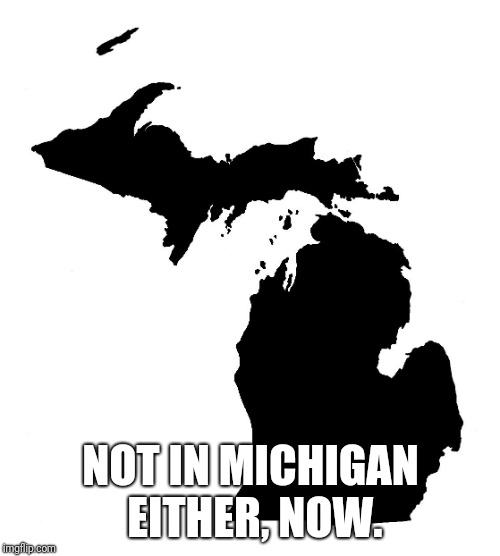 State of Michigan | NOT IN MICHIGAN EITHER, NOW. | image tagged in state of michigan | made w/ Imgflip meme maker