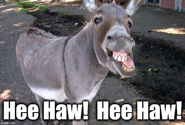 Hee Haw!  Hee Haw! | image tagged in ass | made w/ Imgflip meme maker