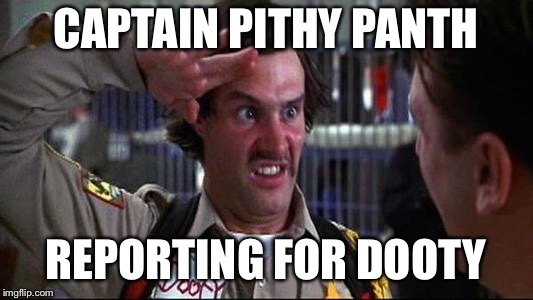 For August  | CAPTAIN PITHY PANTH; REPORTING FOR DOOTY | image tagged in funny,duhhh dumbass | made w/ Imgflip meme maker