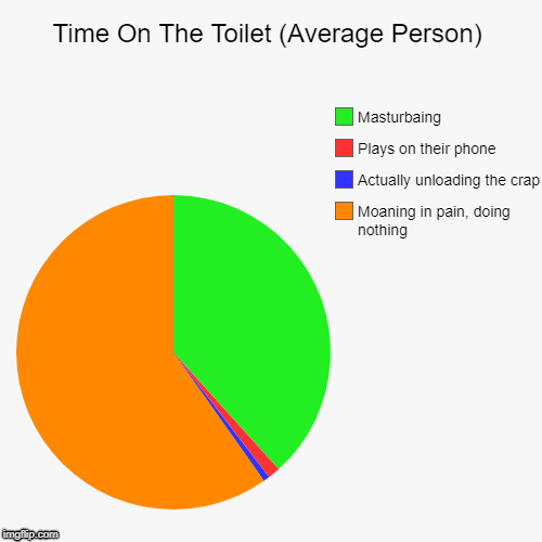 Time On The Toilet (Average Person) | Moaning in pain, doing nothing, Actually unloading the crap, Plays on their phone, Masturbaing | image tagged in funny,pie charts | made w/ Imgflip chart maker