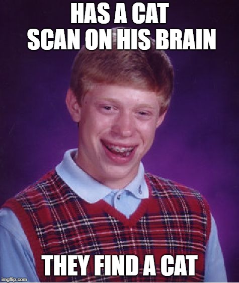 Bad Luck Brian Meme | HAS A CAT SCAN ON HIS BRAIN THEY FIND A CAT | image tagged in memes,bad luck brian | made w/ Imgflip meme maker