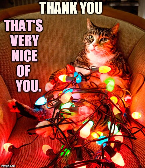 THANK YOU THAT'S VERY NICE OF     YOU. | made w/ Imgflip meme maker