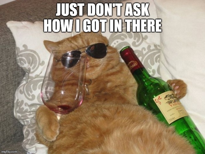 fat drunk cat | JUST DON'T ASK HOW I GOT IN THERE | image tagged in fat drunk cat | made w/ Imgflip meme maker