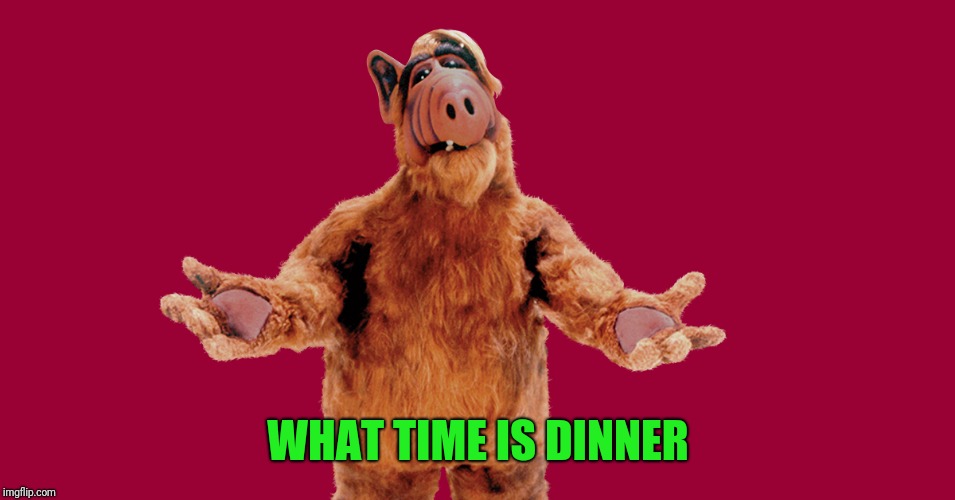 Alf | WHAT TIME IS DINNER | image tagged in alf | made w/ Imgflip meme maker