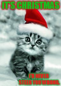 IT'S CHRISTMAS I'D NEVER STEER YOU WRONG. | made w/ Imgflip meme maker
