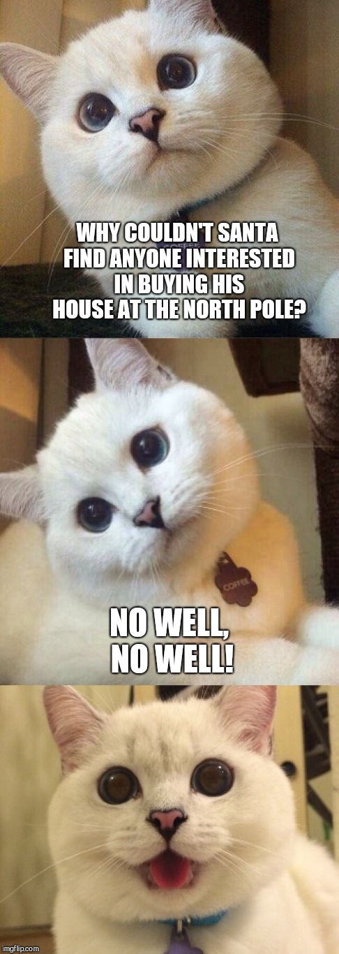 bad pun cat  | WHY COULDN'T SANTA FIND ANYONE INTERESTED IN BUYING HIS HOUSE AT THE NORTH POLE? NO WELL, NO WELL! | image tagged in bad pun cat,santa claus | made w/ Imgflip meme maker