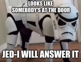 Stormtrooper Dog | LOOKS LIKE SOMEBODY'S AT THE DOOR; JED-I WILL ANSWER IT | image tagged in stormtrooper | made w/ Imgflip meme maker