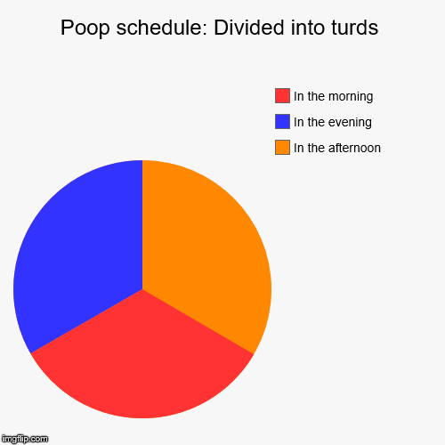 idunno what's wrong with me sometimes | Poop schedule: Divided into turds | In the afternoon, In the evening, In the morning | image tagged in funny,pie charts,poop | made w/ Imgflip chart maker