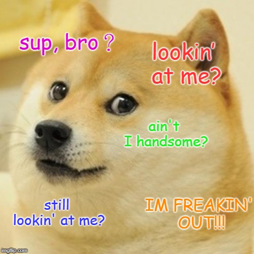 Doge | sup, bro？; lookin’ at me? ain't I handsome? IM FREAKIN' OUT!!! still lookin' at me? | image tagged in memes,doge | made w/ Imgflip meme maker
