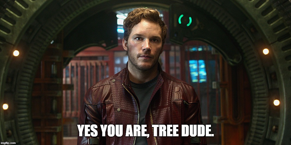 star lord chris pratt | YES YOU ARE, TREE DUDE. | image tagged in star lord chris pratt | made w/ Imgflip meme maker