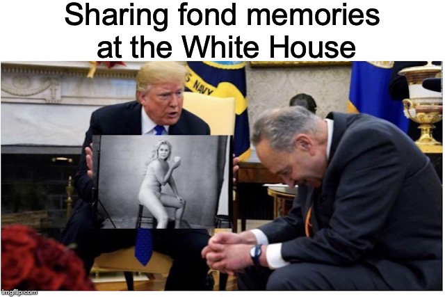 "If I had a photograph of you…" | Sharing fond memories at the White House | image tagged in donald trump,chuck schumer,amy schumer,photoshop,embarrassing | made w/ Imgflip meme maker