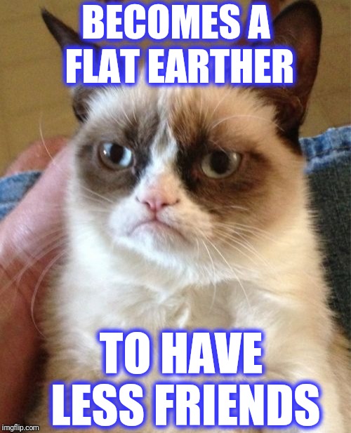 Grumpy Cat Meme | BECOMES A FLAT EARTHER TO HAVE LESS FRIENDS | image tagged in memes,grumpy cat,scumbag | made w/ Imgflip meme maker