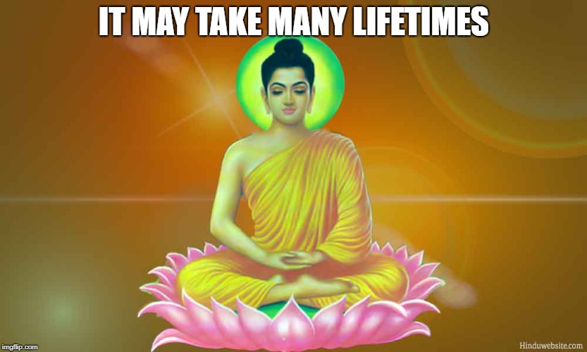 IT MAY TAKE MANY LIFETIMES | made w/ Imgflip meme maker