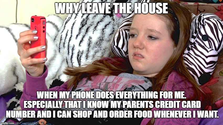 lazy millennials | WHY LEAVE THE HOUSE; WHEN MY PHONE DOES EVERYTHING FOR ME. ESPECIALLY THAT I KNOW MY PARENTS CREDIT CARD NUMBER AND I CAN SHOP AND ORDER FOOD WHENEVER I WANT. | image tagged in lazy millennials | made w/ Imgflip meme maker