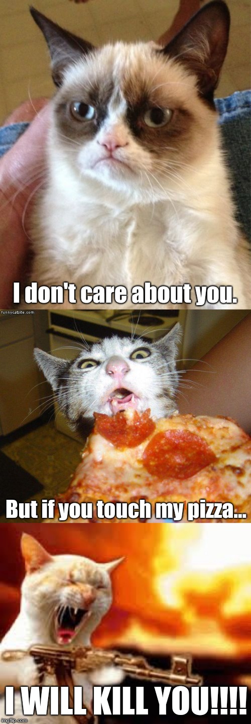Don't Touch My Pizza | I don't care about you. But if you touch my pizza... I WILL KILL YOU!!!! | image tagged in memes,grumpy cat,pizza cat,cat with gun,pizza | made w/ Imgflip meme maker