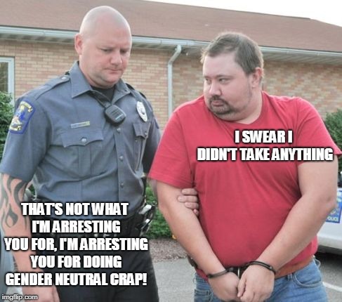 man get arrested | I SWEAR I DIDN'T TAKE ANYTHING; THAT'S NOT WHAT I'M ARRESTING YOU FOR, I'M ARRESTING YOU FOR DOING GENDER NEUTRAL CRAP! | image tagged in man get arrested | made w/ Imgflip meme maker