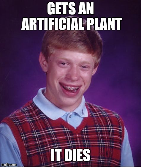 Bad Luck Brian Meme | GETS AN ARTIFICIAL PLANT; IT DIES | image tagged in memes,bad luck brian | made w/ Imgflip meme maker