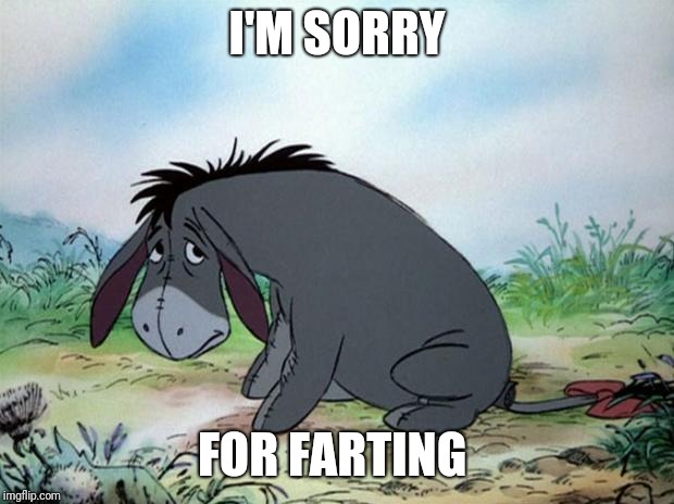eeyore |  I'M SORRY; FOR FARTING | image tagged in eeyore | made w/ Imgflip meme maker