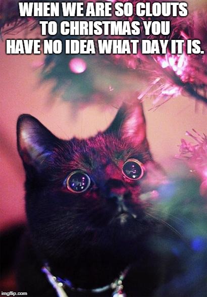 Christmas Cat | WHEN WE ARE SO CLOUTS TO CHRISTMAS YOU HAVE NO IDEA WHAT DAY IT IS. | image tagged in christmas cat | made w/ Imgflip meme maker