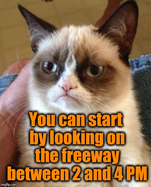 Grumpy Cat Meme | You can start by looking on the freeway between 2 and 4 PM | image tagged in memes,grumpy cat | made w/ Imgflip meme maker
