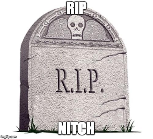 RIP | RIP NITCH | image tagged in rip | made w/ Imgflip meme maker