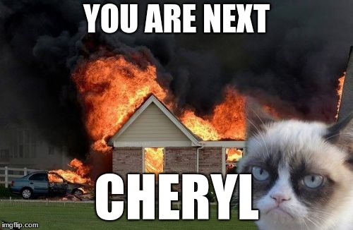 Get ready Cheryl | YOU ARE NEXT; CHERYL | image tagged in memes,burn kitty,grumpy cat | made w/ Imgflip meme maker