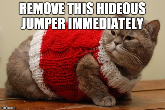 Please don't dress up your pets | REMOVE THIS HIDEOUS JUMPER IMMEDIATELY | image tagged in fat cat,christmas jumper | made w/ Imgflip meme maker